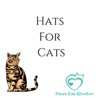 Cat Print Teal Fleece Turban Twist Fleece Headband Size Small/Medium | Ready to Ship
